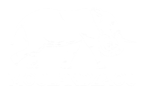 logo_moulandzaou_white